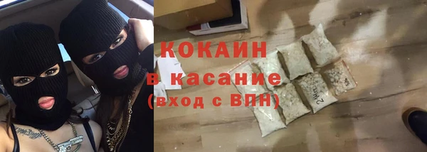 гидра Карпинск