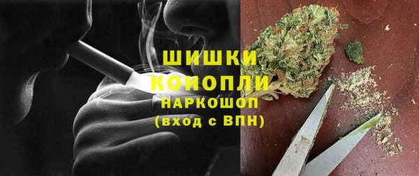 индика Богданович