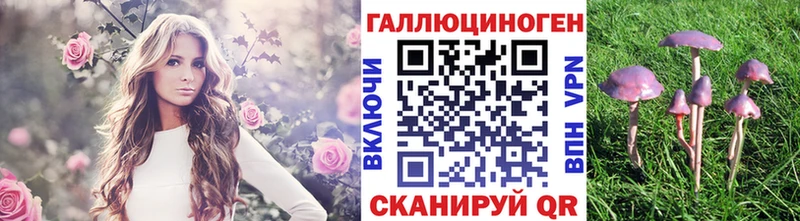 Купить закладки  Амурск  Псилоцибиновые грибы MAGIC MUSHROOMS 